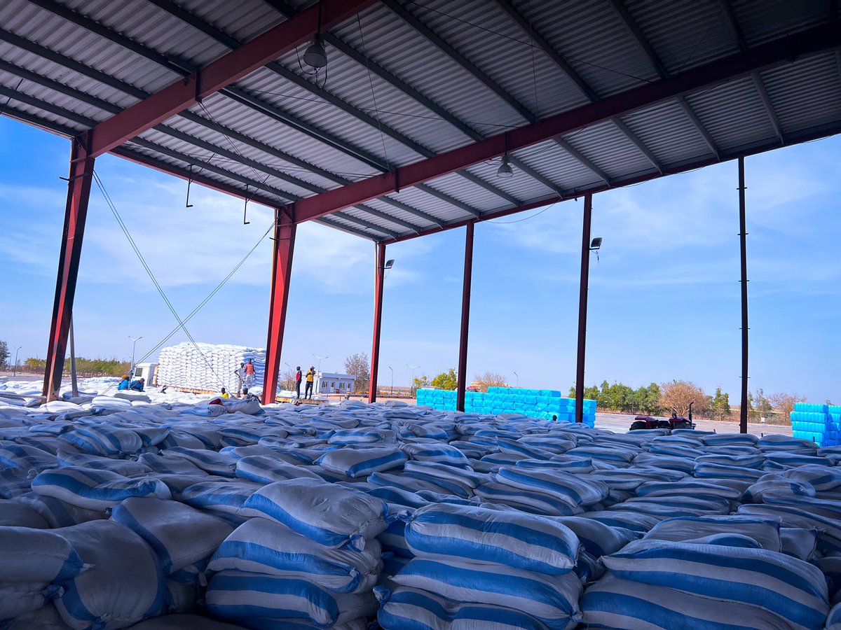 Cotton Seed Processing