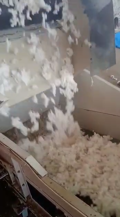 Cotton Ginning