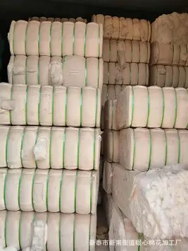 Raw Cotton Procurement